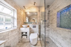 Shower Room- click for photo gallery